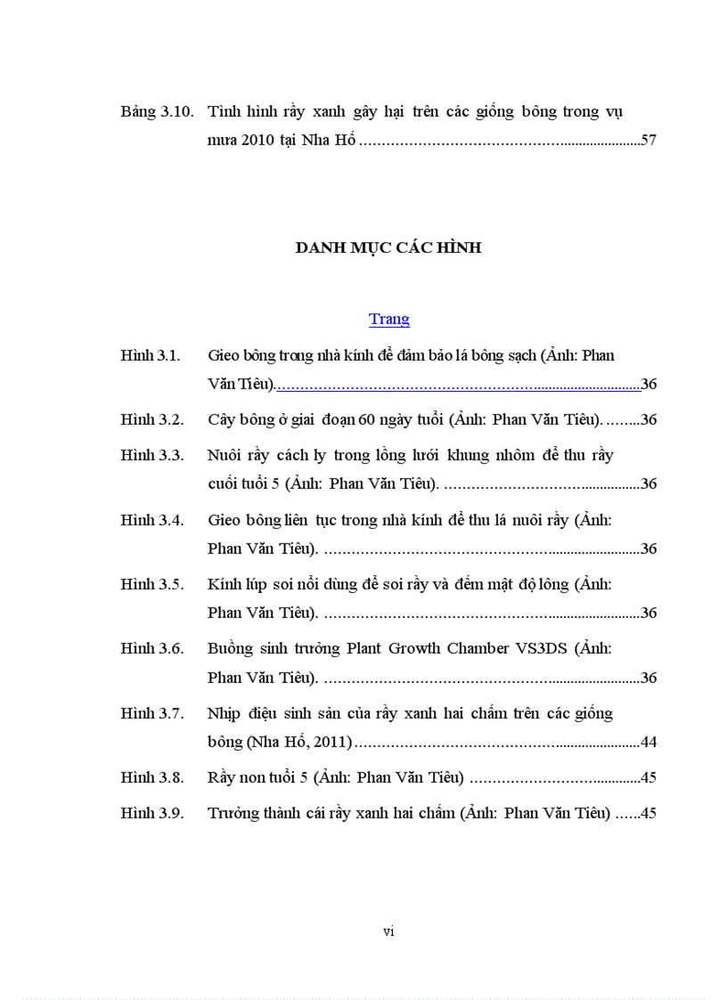 image for page Tìm hiểu mối quan hệ giữa một số đặc điểm hình thái và khả năng kháng rầy xanh hai chấm amrassca devastans của một số giống bông