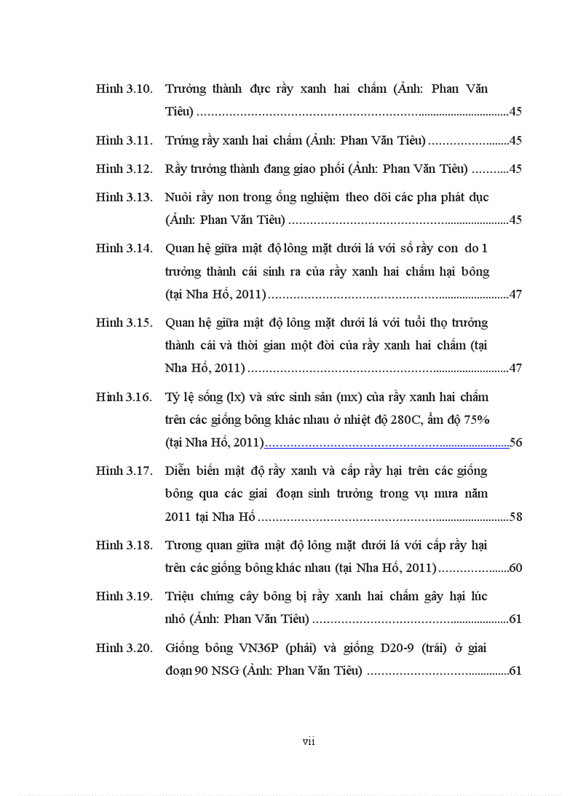 image for page Tìm hiểu mối quan hệ giữa một số đặc điểm hình thái và khả năng kháng rầy xanh hai chấm amrassca devastans của một số giống bông