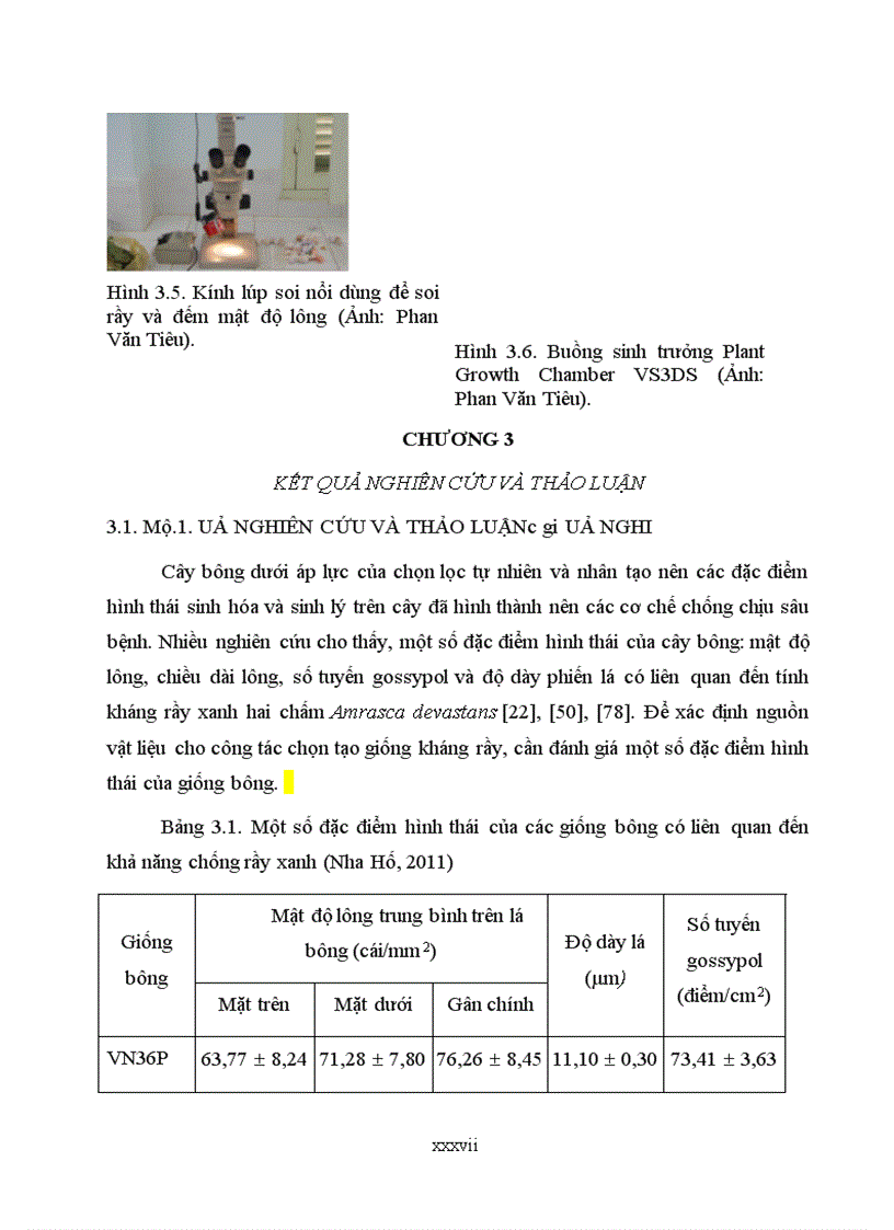 image for page Tìm hiểu mối quan hệ giữa một số đặc điểm hình thái và khả năng kháng rầy xanh hai chấm amrassca devastans của một số giống bông