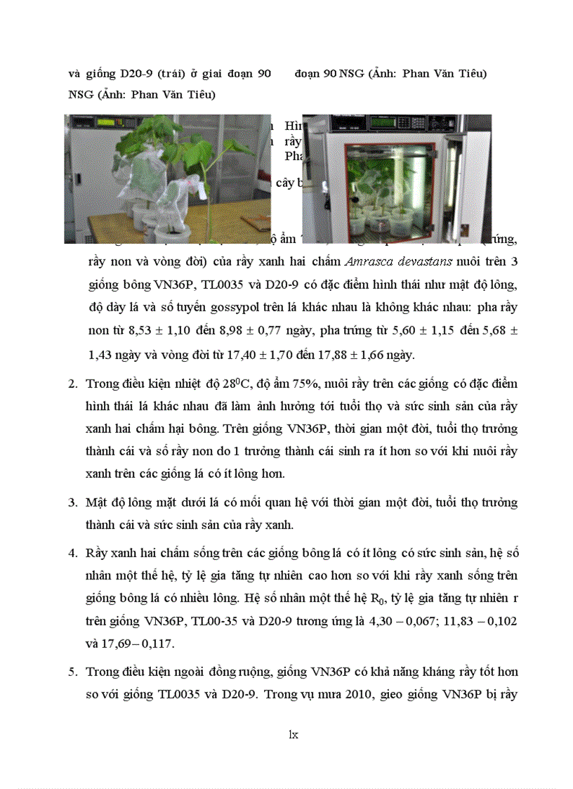image for page Tìm hiểu mối quan hệ giữa một số đặc điểm hình thái và khả năng kháng rầy xanh hai chấm amrassca devastans của một số giống bông