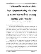 Phát triển cơ cấu tổ chức hoạt động marketing của công ty TNHH sản xuất và thương mại thể thao Pronex