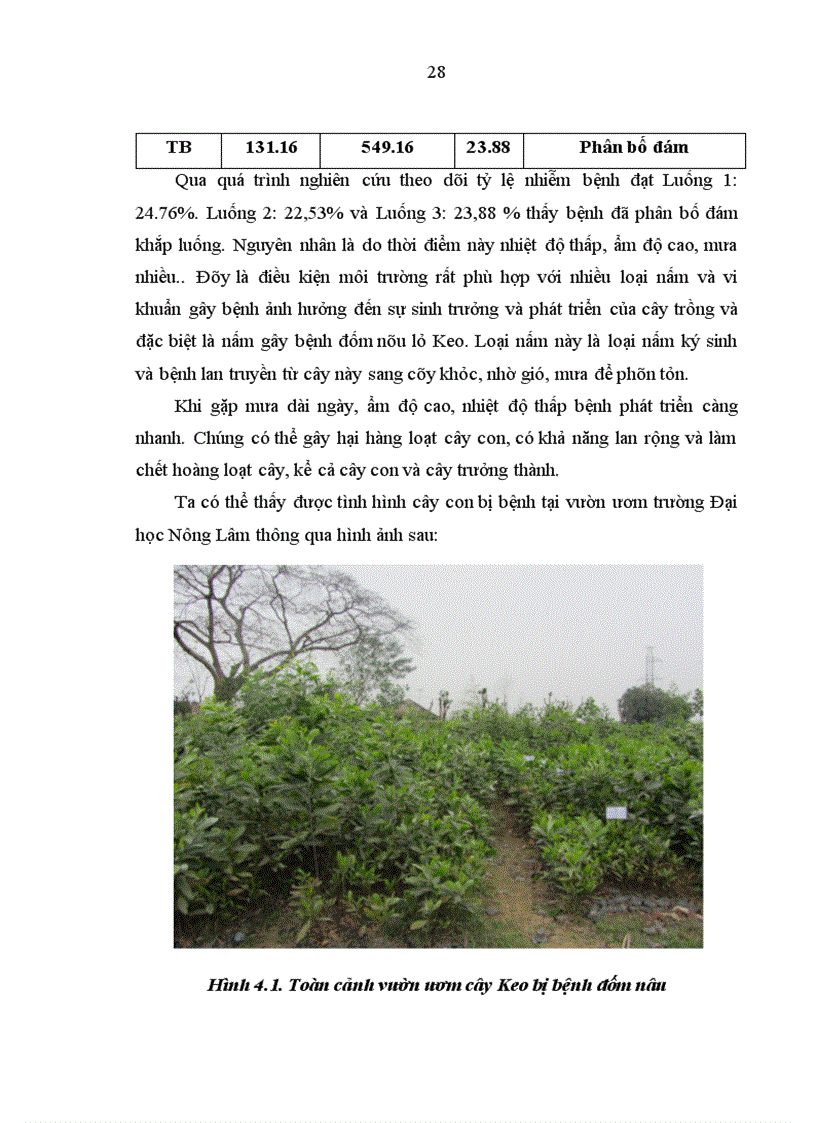 image for page Thử nghiệm hiệu lực một số loại thuốc hóa học trong việc phòng trừ bệnh đốm nâu lá cây Keo tai tượng Acacia mangium wild ở vườn ươm tại vườn ươm Trường Đại Học Nông Lâm Thái Nguyên