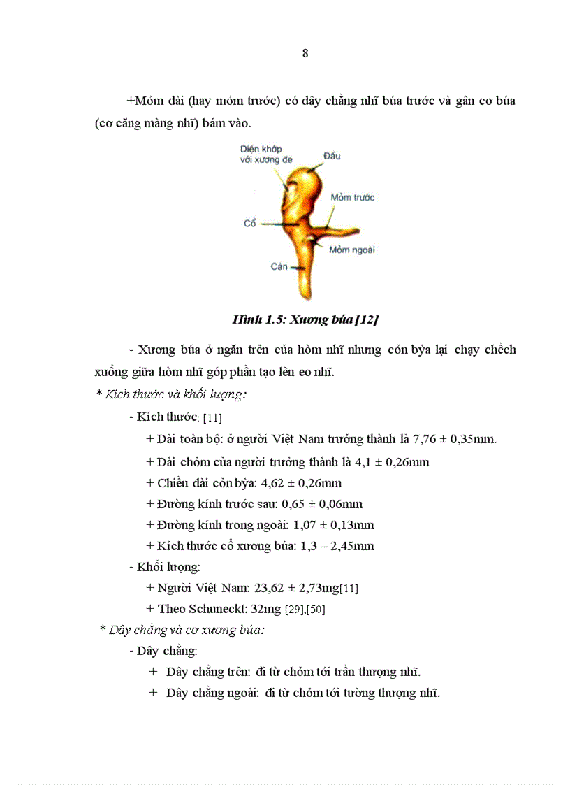 image for page Nghiên cứu hình thái lâm sàng thính lực nhĩ lượng và cắt lớp vi tính của bệnh nhân cứng khớp và dị dạng hệ thống xương con