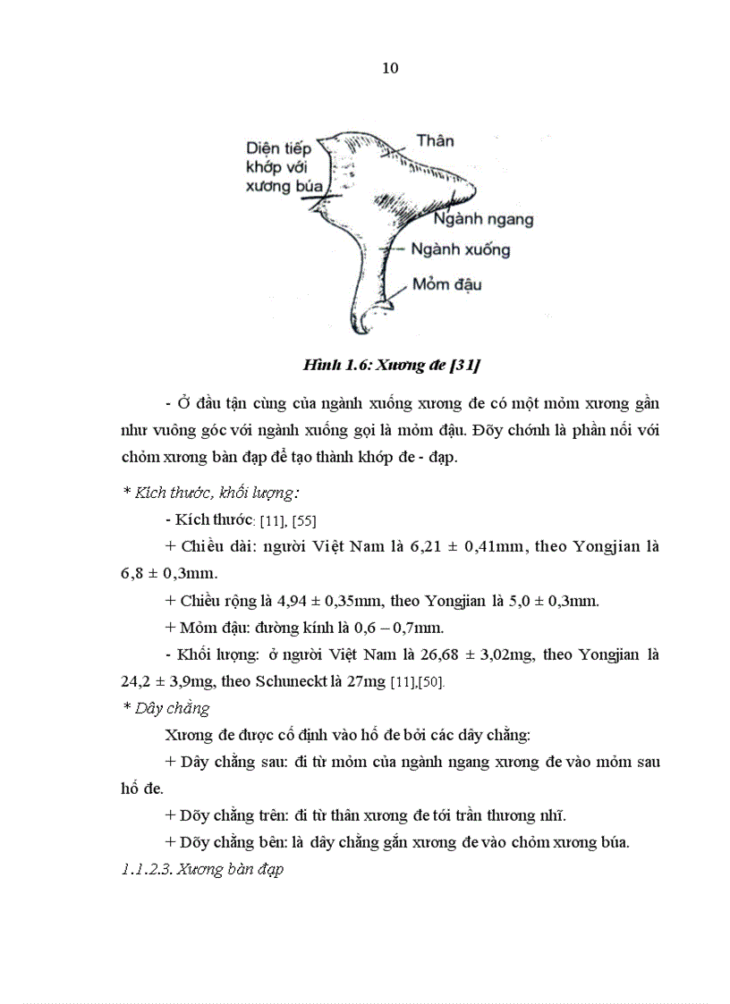 image for page Nghiên cứu hình thái lâm sàng thính lực nhĩ lượng và cắt lớp vi tính của bệnh nhân cứng khớp và dị dạng hệ thống xương con