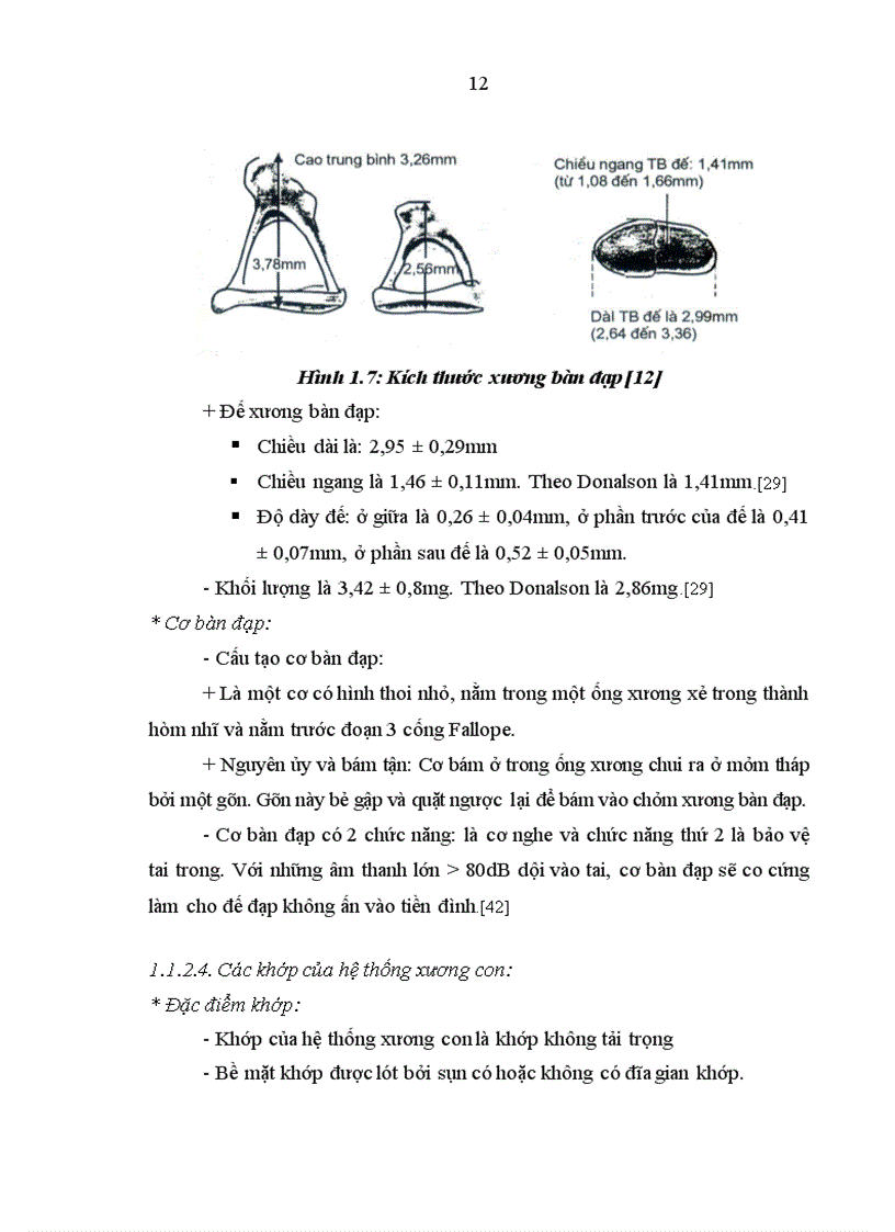 image for page Nghiên cứu hình thái lâm sàng thính lực nhĩ lượng và cắt lớp vi tính của bệnh nhân cứng khớp và dị dạng hệ thống xương con