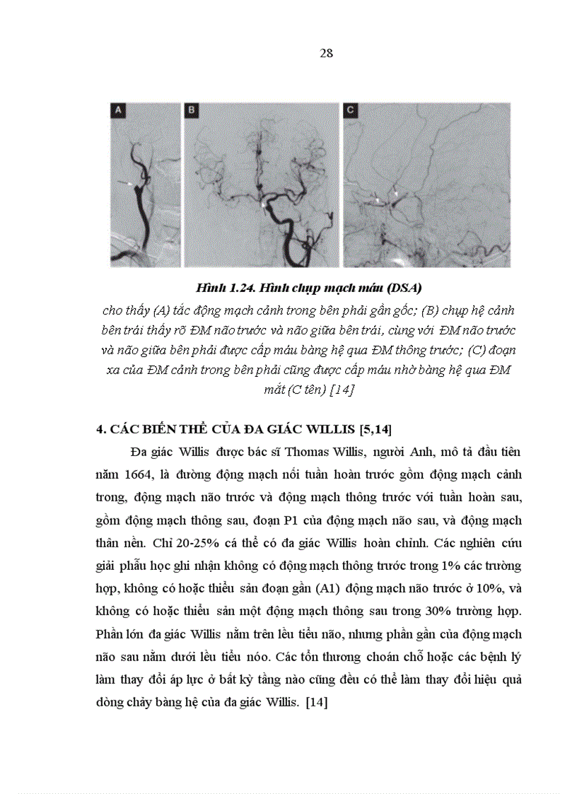 image for page Tưới máu não sinh lý và sinh lý bệnh