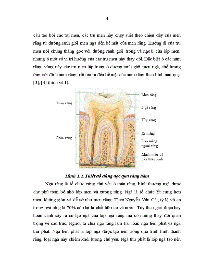 Đánh giá kết quả phục hồi tổn thương thân răng bằng Inlay sứ E maxpress cho nhóm răng sau 3
