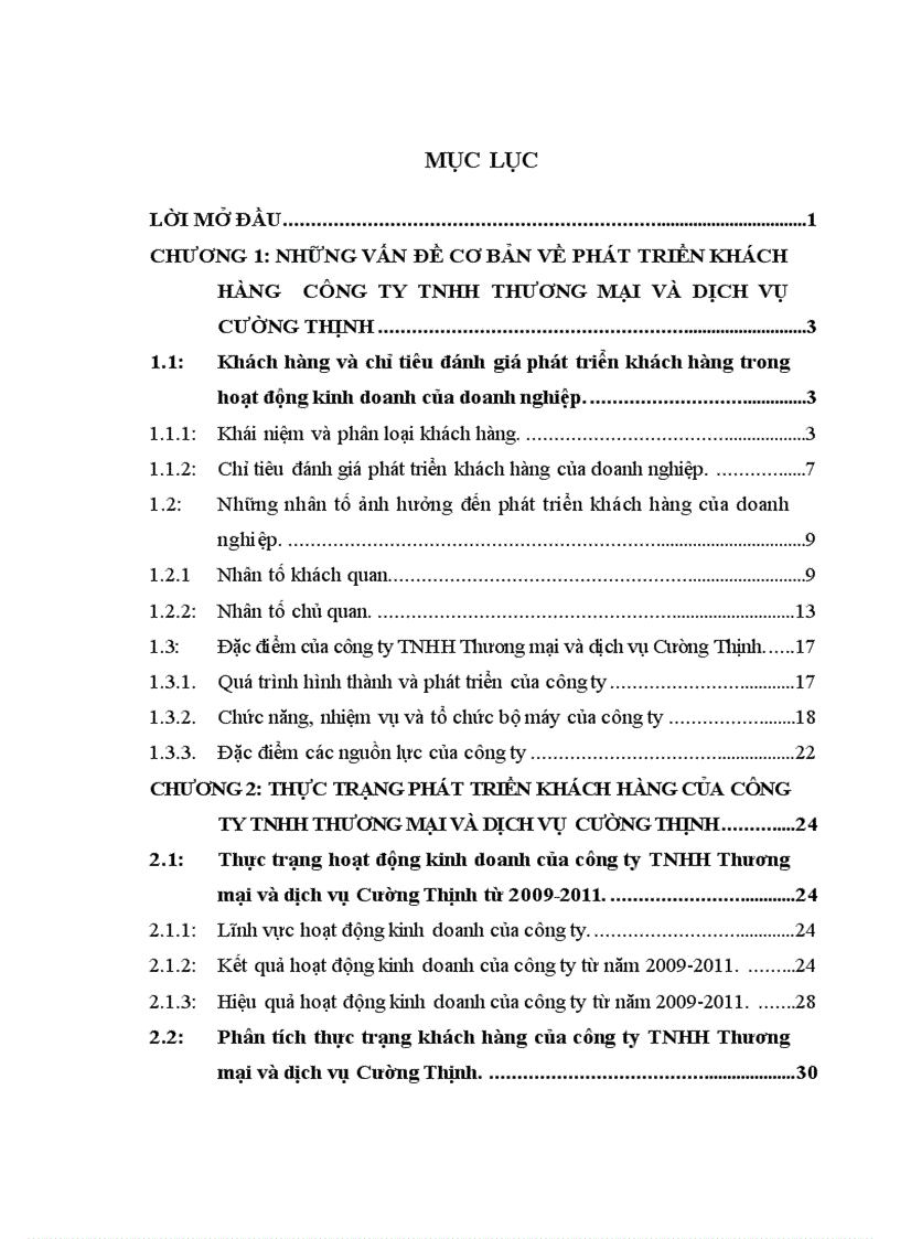 image for page Hoạt động phát triển khách hàng của Công ty TNHH Thương mại và dịch vụ Cường Thịnh
