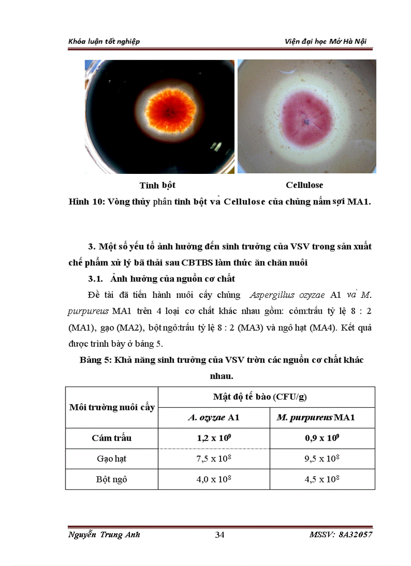image for page Nghiên cứu một số yếu tố ảnh hưởng đến sinh trưởng của vi sinh vật sử dụng trong sản xuất chế phẩm xử lý bã thải sau CBTBS làm thức ăn chăn nuôi