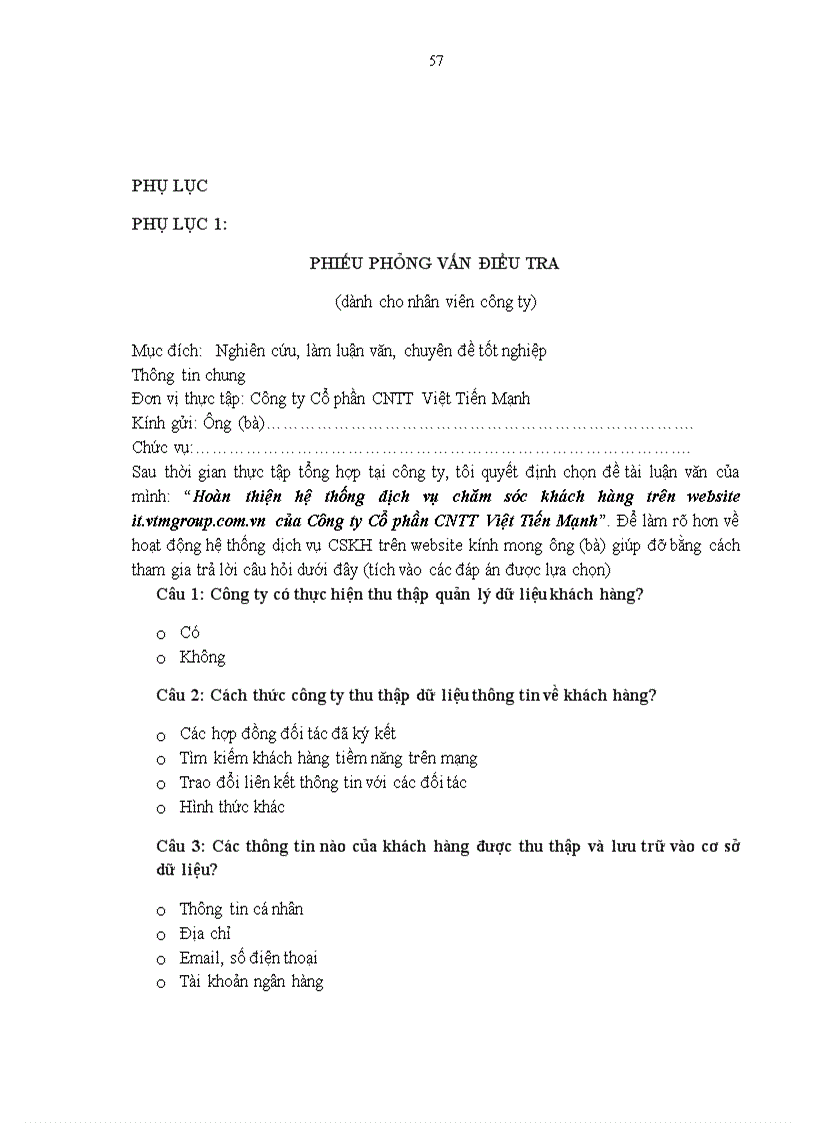 image for page Hoàn thiện hệ thống dịch vụ chăm sóc khách hàng trên website It vtmgroup com vn của Công ty Cổ phần CNTT Việt Tiến Mạnh