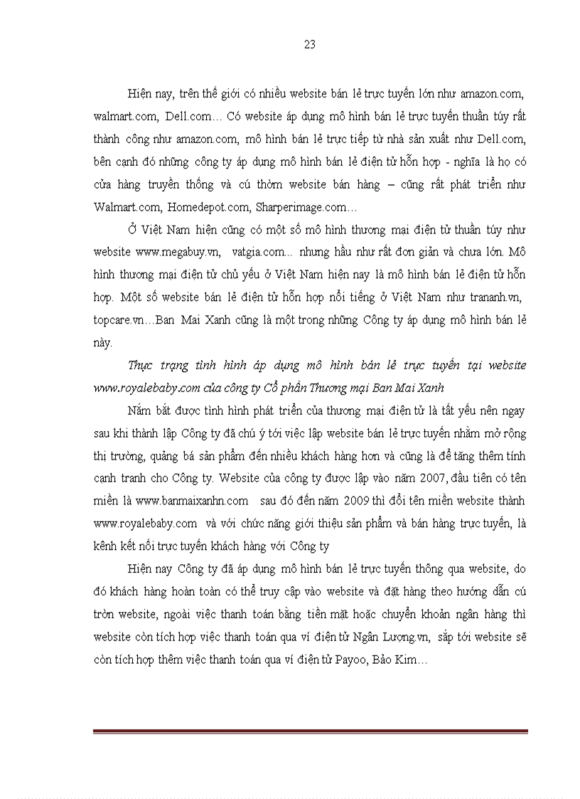 image for page Hoàn thiện mô hình bán lẻ trực tuyến mặt hàng giày dép tại website www royalebaby com của công ty CPTM Ban Mai Xanh