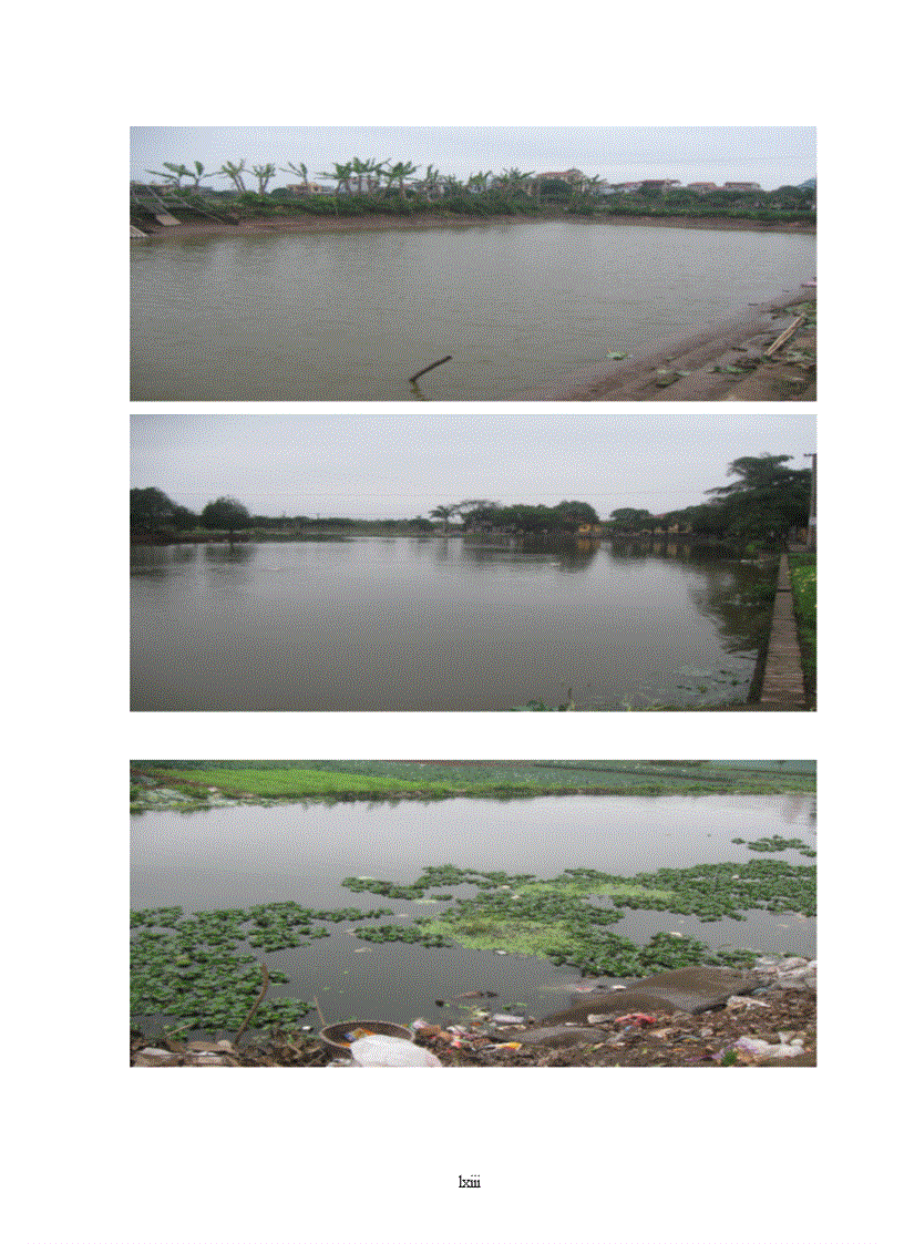 image for page Đánh giá chất lượng nước sử dụng trong sản xuất rau vụ đông xuân tại xã Đặng Xá Gia Lâm Hà Nội 1