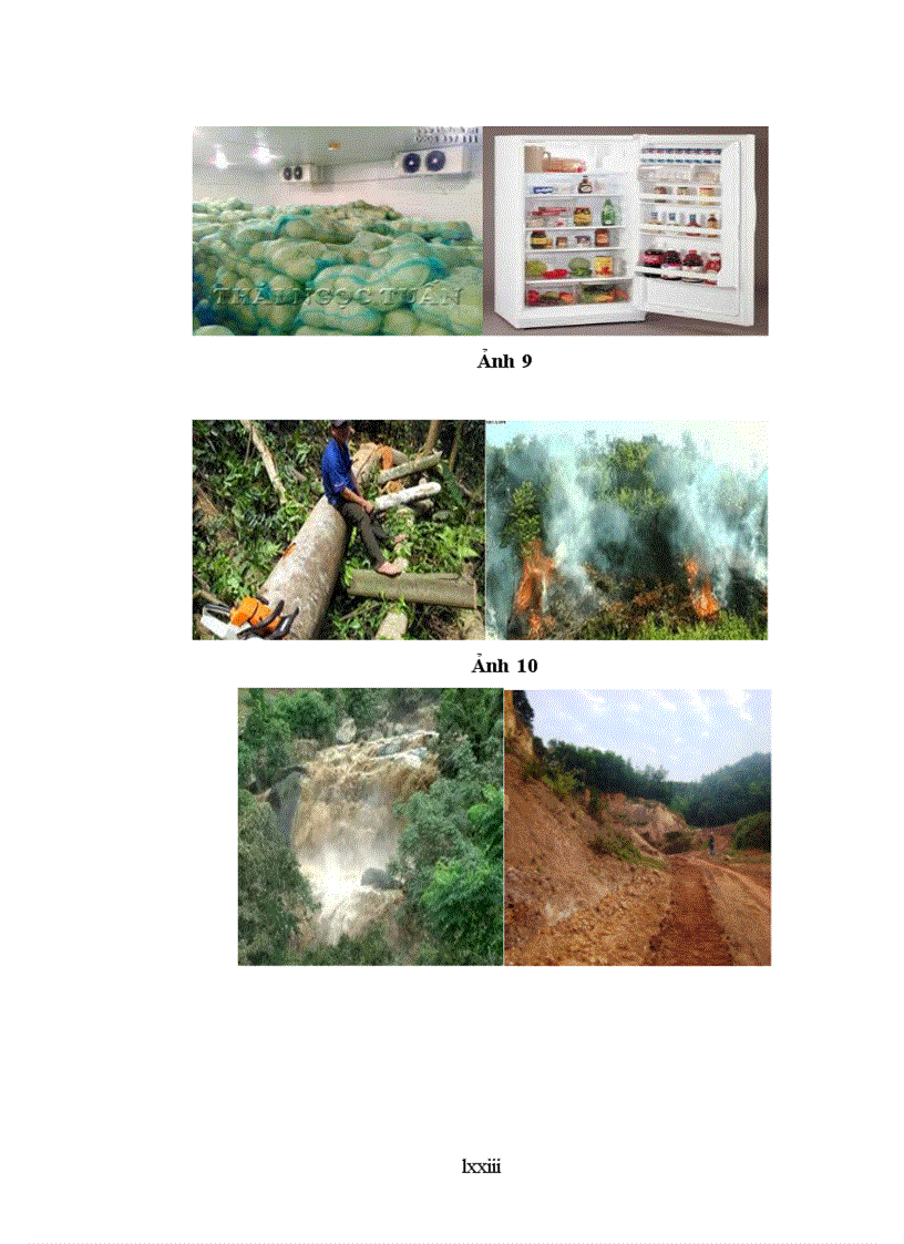 image for page Tích hợp giáo dục biến đổi khí hậu trong dạy học chương 3 môn công nghệ 10 thpt