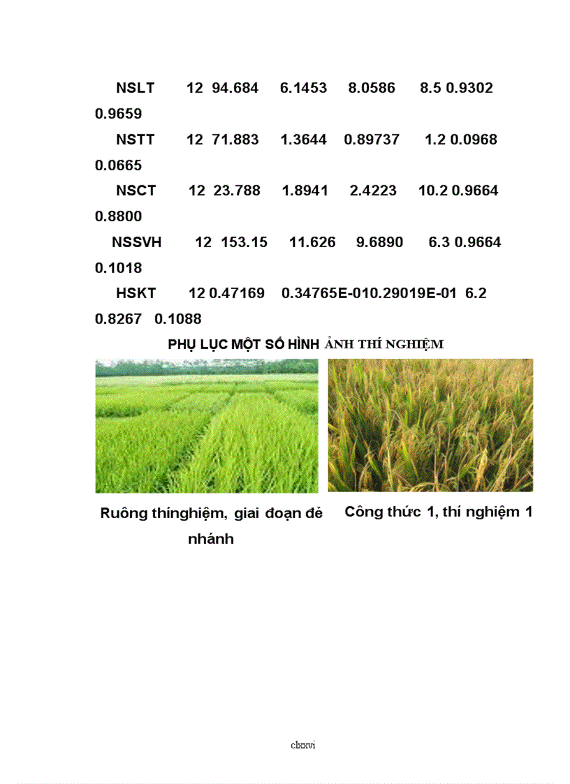 image for page Nghiên cứu ảnh hưởng của phương pháp bón phân viên nén đến sinh trưởng phát triển năng suất lúa pc6 vụ xuân tại huyện thạch hà hà tĩnh