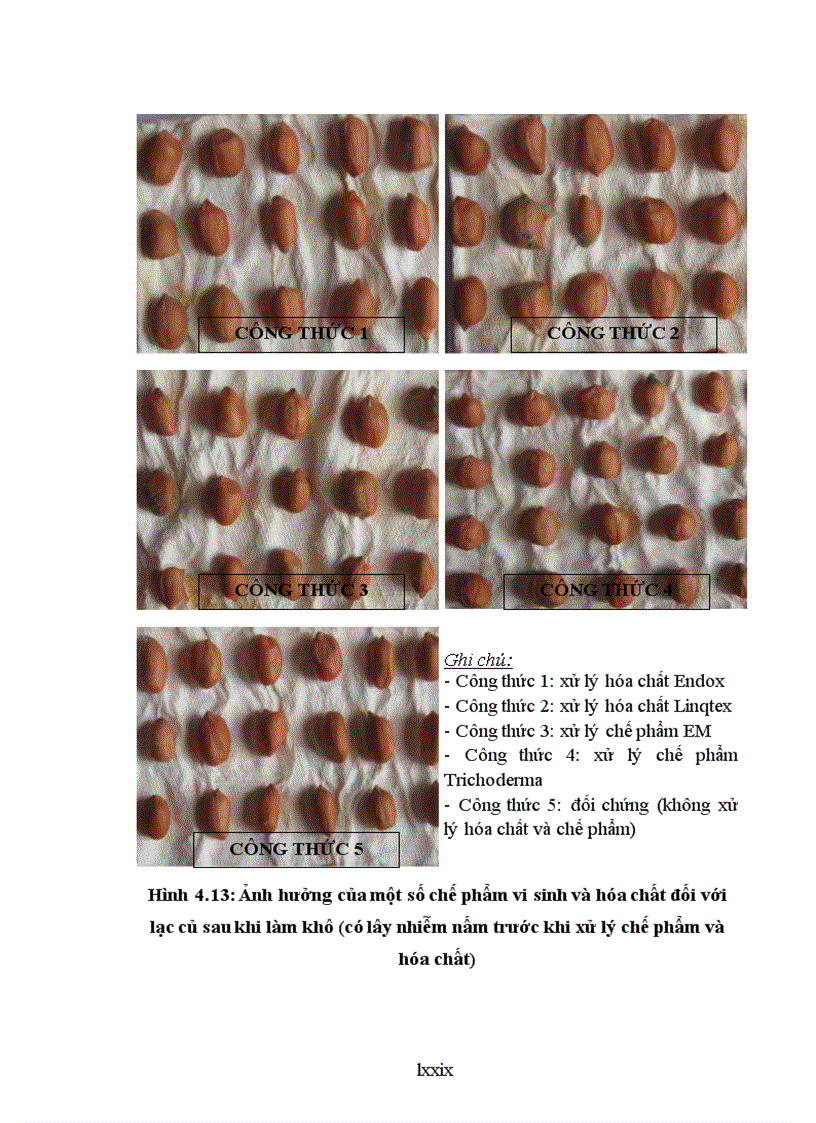 image for page Nghiên cứu sử dụng một số chế phẩm vi sinh và hóa chất để phòng chống bệnh hại chính do nấm gây ra trên nguyên liệu lạc trong kho bảo quản tại tỉnh Bắc Giang