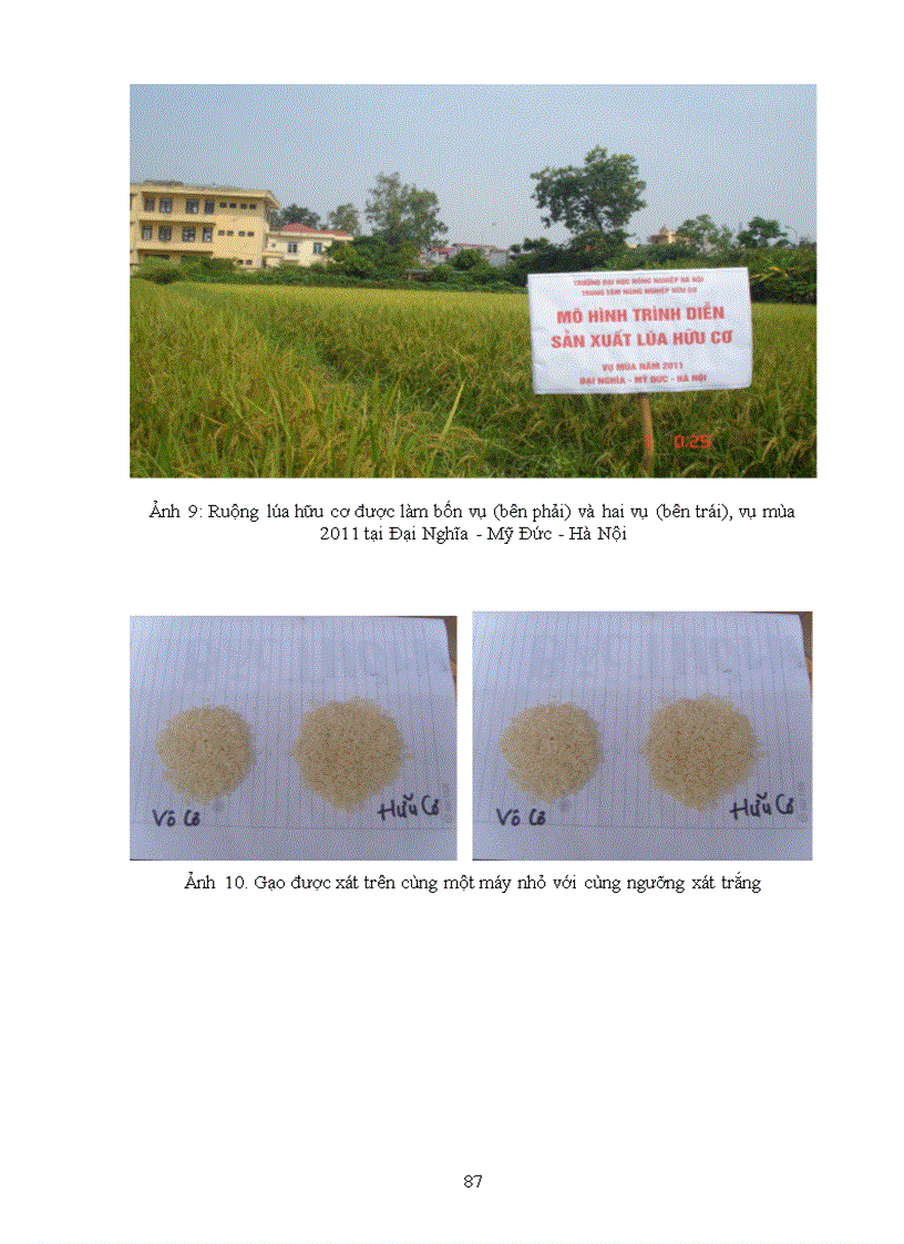 image for page Nghiên cứu sử dụng phân bón hữu cơ vi sinh và thuốc bảo vệ thực vật sinh học cho sản xuất lúa hữu cơ tại Hà Nội 4