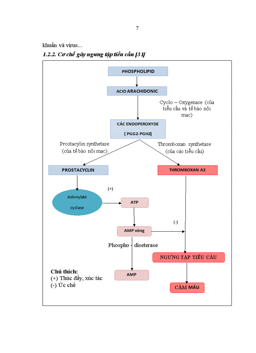 image for page Nghiên cứu độ ngưng tập tiểu cầu ở bệnh nhân trước và sau can thiệp đặt stent động mạch vành