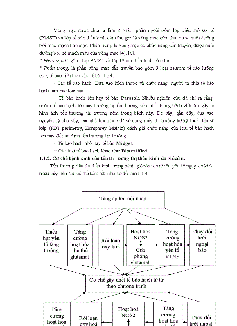 image for page Nghiên cứu ứng dụng thị trường kế Humphrey Matrix phát hiện sớm tổn thương thị trường trong bệnh glôcôm góc mở nguyên phát