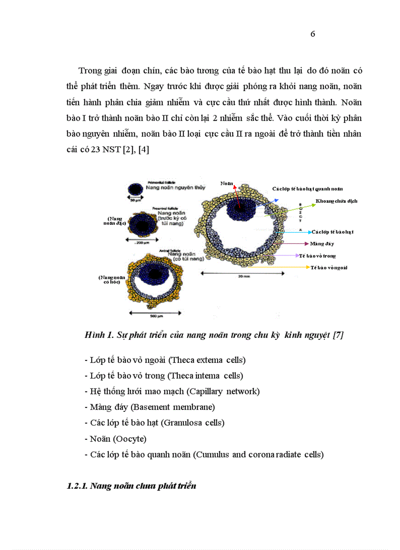 image for page Nghiên cứu hiệu quả của hai phác đồ xử trí buồng trứng đáp ứng kém trong thụ tinh trong ống nghiệm tại bệnh viện phụ sản trung ương 3