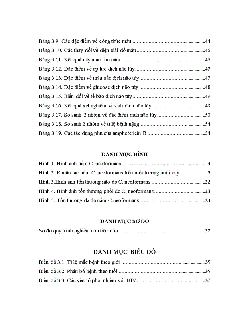 image for page Bước đầu đánh giá kết quả điều trị viêm màng não do C neoformans ở bệnh nhân AIDS tại Bệnh viện Bệnh Nhiệt đới Trung ương từ 01 01 2007 đến 30 04 201