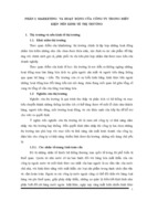 Marketing – Mix của công ty cổ phần địa ốc Đại Việt giai đoạn 2010-2015