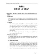 Phân tích tài chính công ty Tân Thuận
