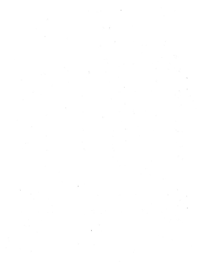 image for page Kế toán nguyên vật liệu tại xí nghiệp phân bón Kiến hưng'