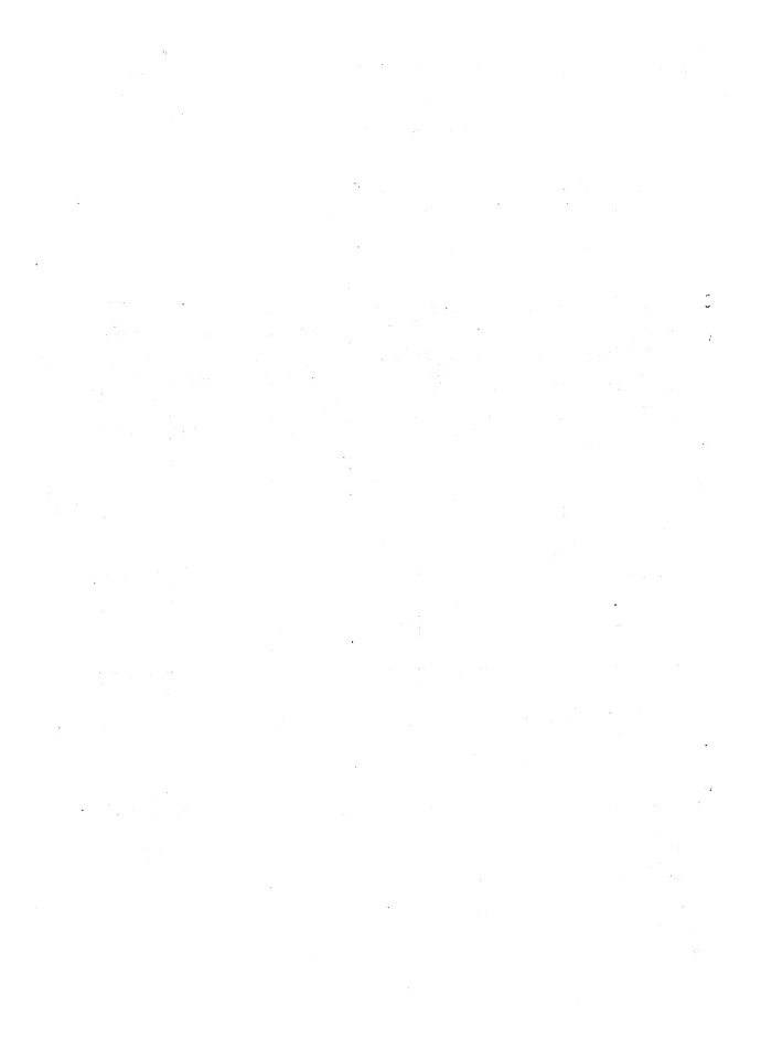 image for page Kế toán nguyên vật liệu tại xí nghiệp phân bón Kiến hưng'