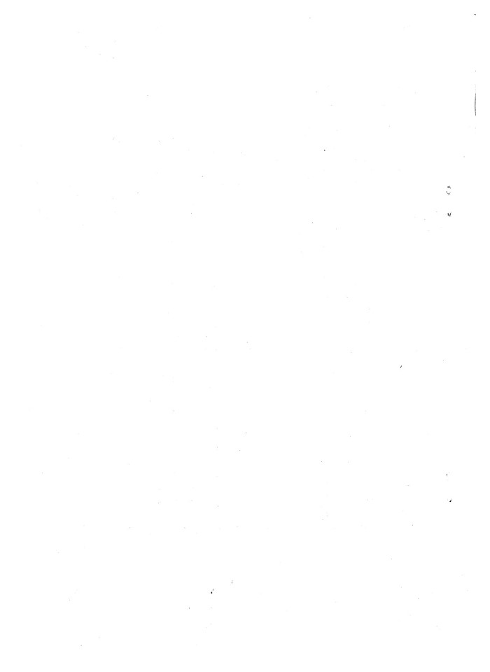 image for page Kế toán nguyên vật liệu tại xí nghiệp phân bón Kiến hưng'