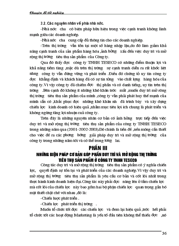 image for page Những biện pháp cơ bản góp phần duy trì và mở rộng thị trường tiêu thụ sản phẩm ở Công ty TNHH TESECO