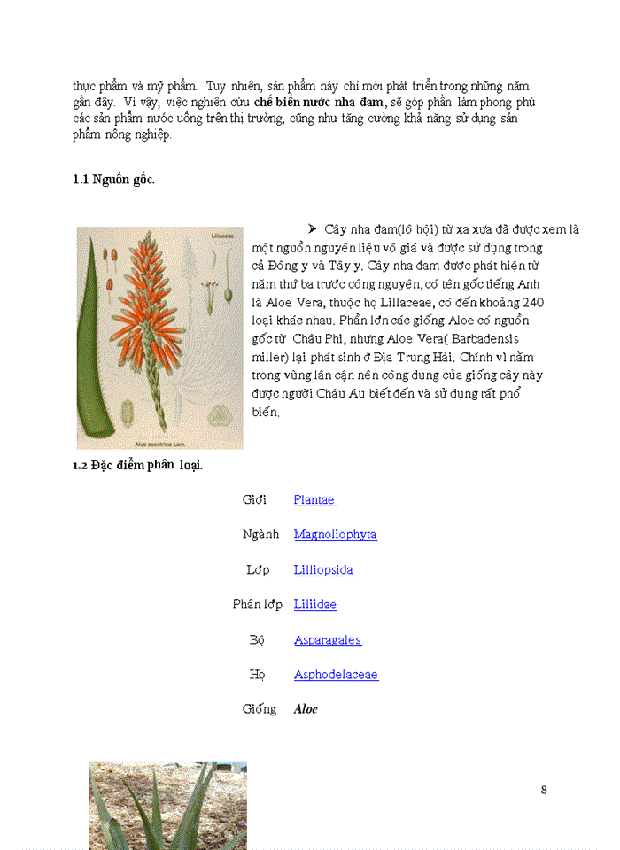 image for page Nước nha đam