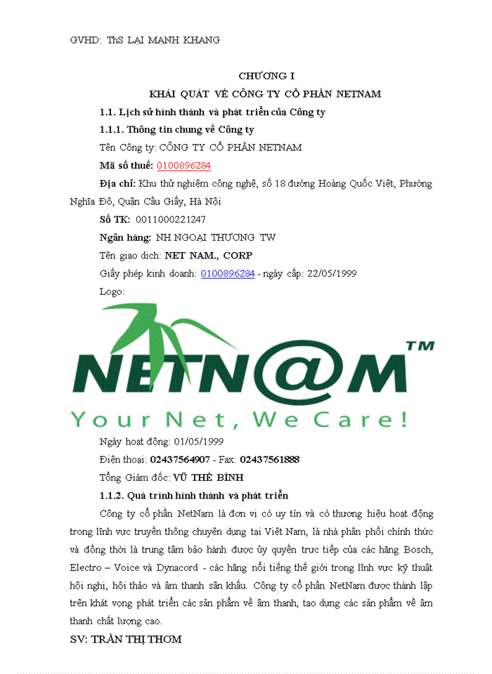 Đẩy mạnh hoạt động cung cấp sản phẩm, dịch vụ internet tại Công ty cổ phần NetNam 2017