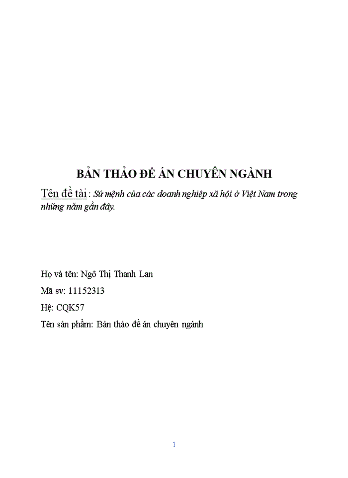 image for page Sứ mệnh của các doanh nghiệp xã hội ở Việt Nam trong những năm gần đây