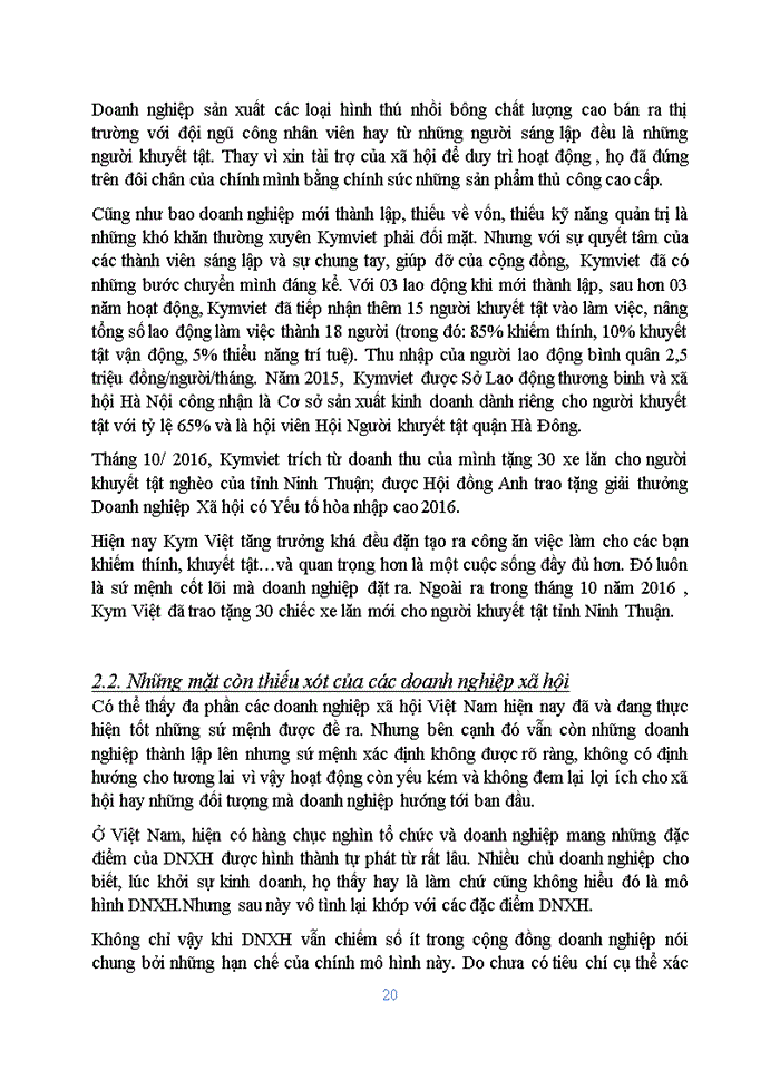 image for page Sứ mệnh của các doanh nghiệp xã hội ở Việt Nam trong những năm gần đây