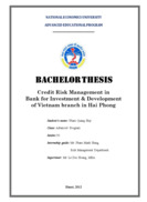 Credit Risk Management in  Bank for Investment & Development  of Vietnam branch in Hai Phong