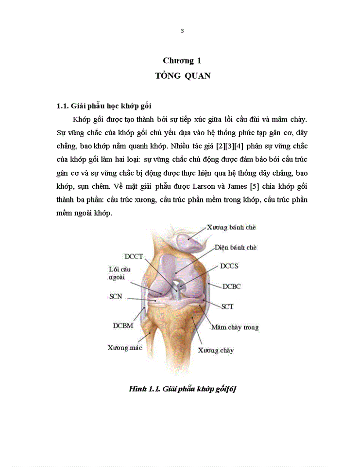 Luận văn thạc sỹ y học nhận xét đặc điểm tổn thương và kết quả điều trị rách đồng thời hai sụn chêm  khớp gối qua nội soi