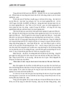 Hoàn thiện Kế toán Nguyên vật liệu ở Công ty Trách nhiệm Hữu hạn Hữu Nghị