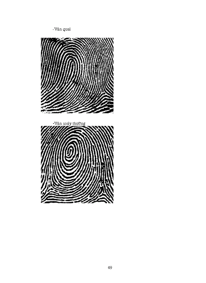 image for page Xây dựng phân hệ tra tìm đối tượng theo vân tay trên mạng INTRANET ứng dụng công nghệ ASP NET và SQLSERVER