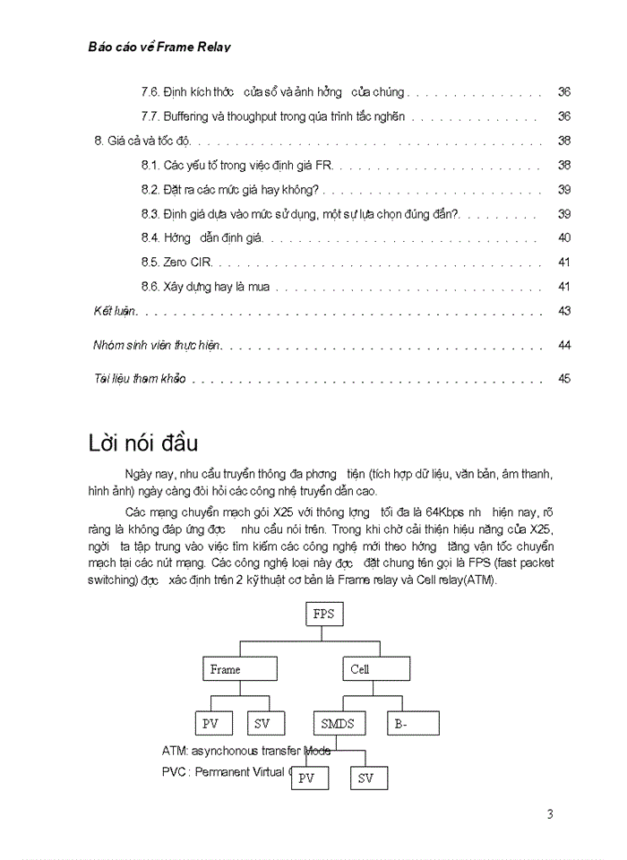 image for page Báo cáo về dịch dữ liệu Frame Relay