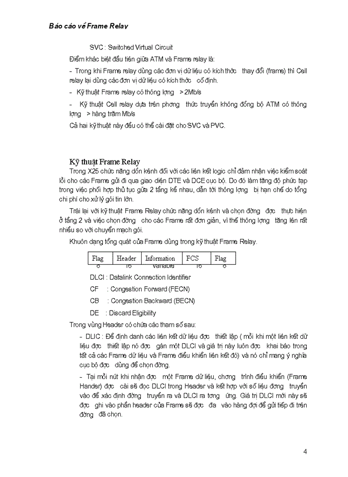 image for page Báo cáo về dịch dữ liệu Frame Relay