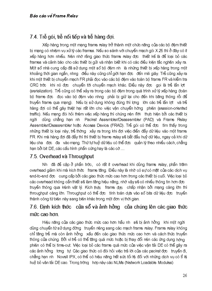 image for page Báo cáo về dịch dữ liệu Frame Relay