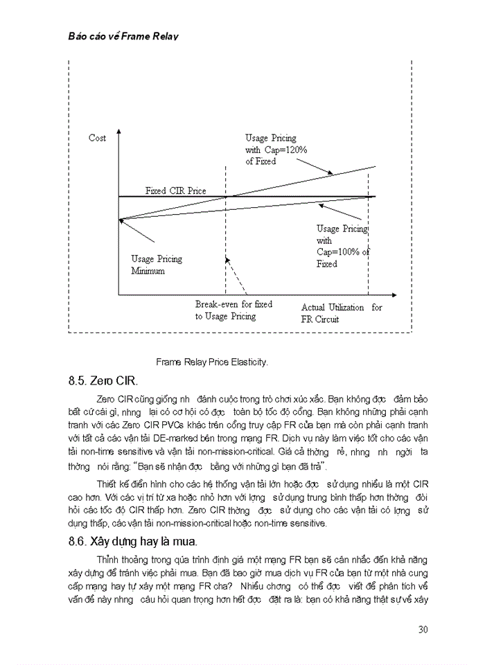 image for page Báo cáo về dịch dữ liệu Frame Relay