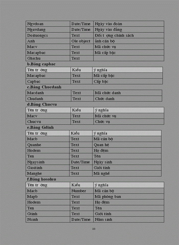 image for page Quản lý nhân sự lập trình Access