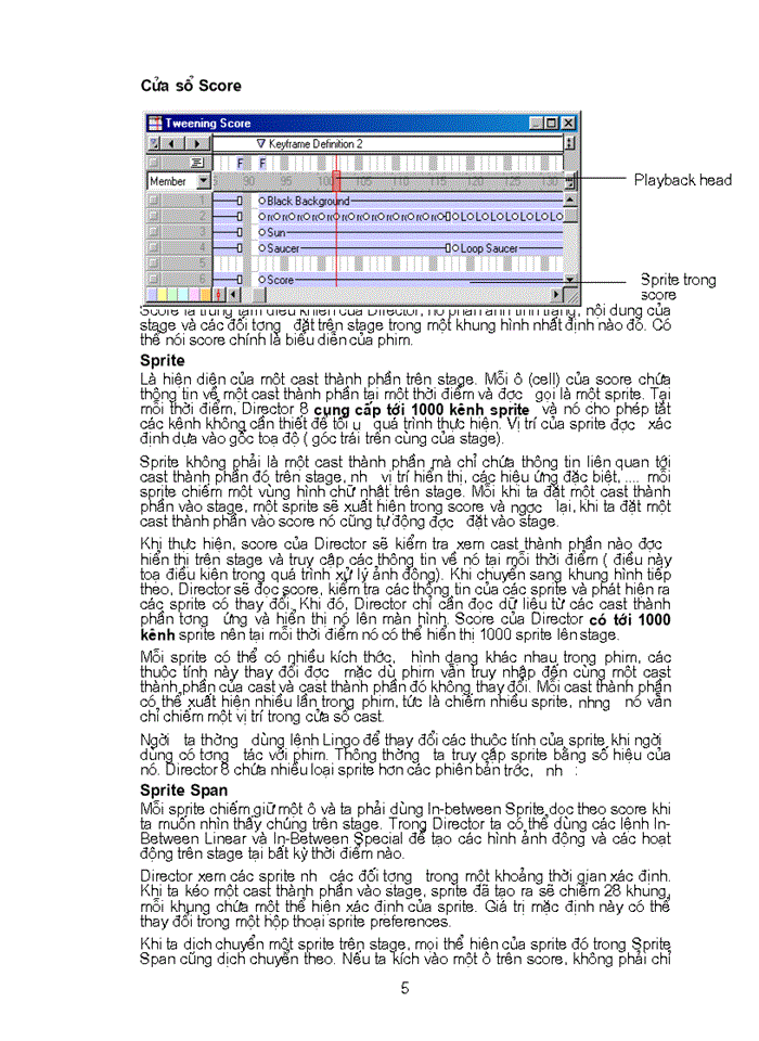 image for page Macromedia Director 8