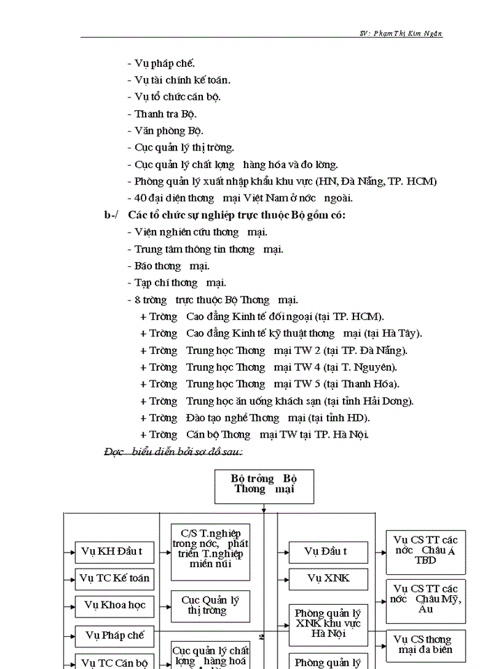 Báo cáo Tại Bộ Thương mại