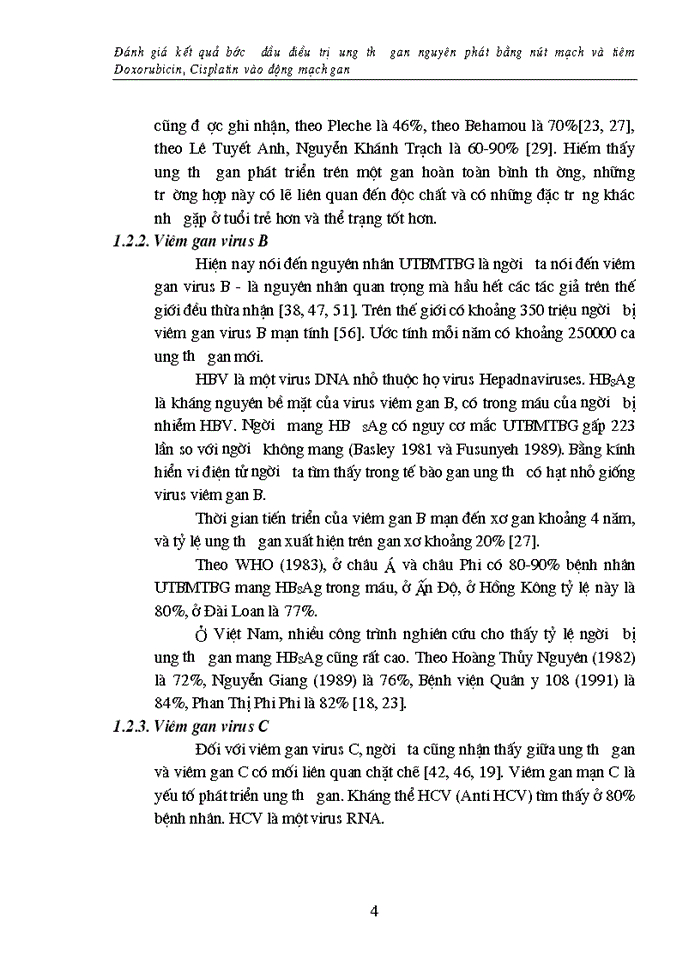 image for page Đánh giá kết quả bước đầu điều trị ung thư gan nguyên phát bằng nút mạch và tiêm Doxorubicin Cisplatin vào
