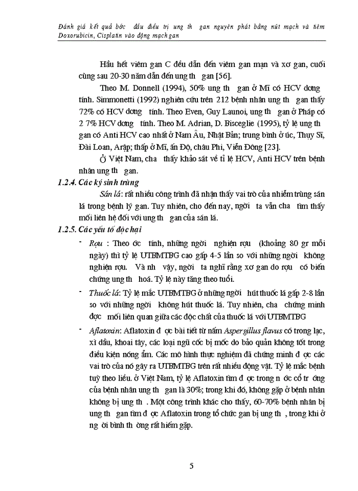 image for page Đánh giá kết quả bước đầu điều trị ung thư gan nguyên phát bằng nút mạch và tiêm Doxorubicin Cisplatin vào