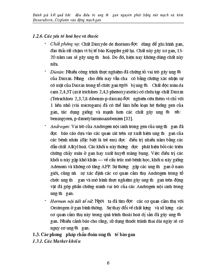 image for page Đánh giá kết quả bước đầu điều trị ung thư gan nguyên phát bằng nút mạch và tiêm Doxorubicin Cisplatin vào