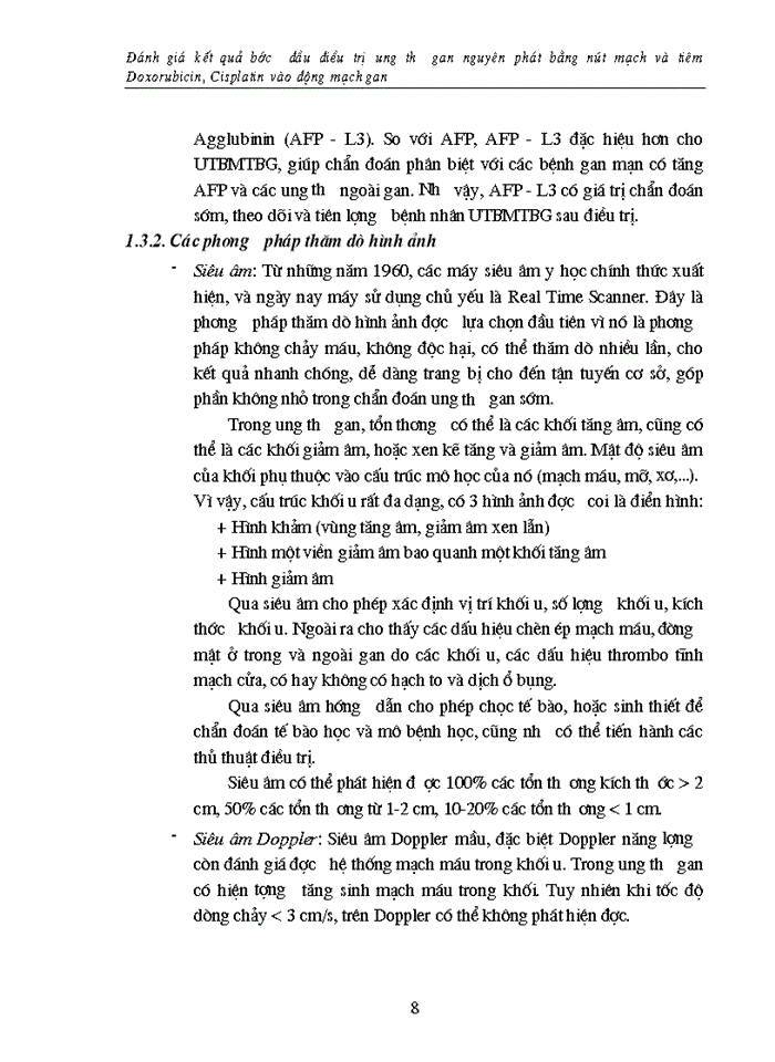 image for page Đánh giá kết quả bước đầu điều trị ung thư gan nguyên phát bằng nút mạch và tiêm Doxorubicin Cisplatin vào