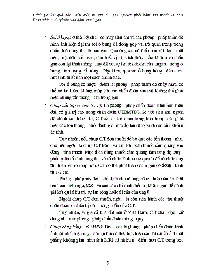 image for page Đánh giá kết quả bước đầu điều trị ung thư gan nguyên phát bằng nút mạch và tiêm Doxorubicin Cisplatin vào